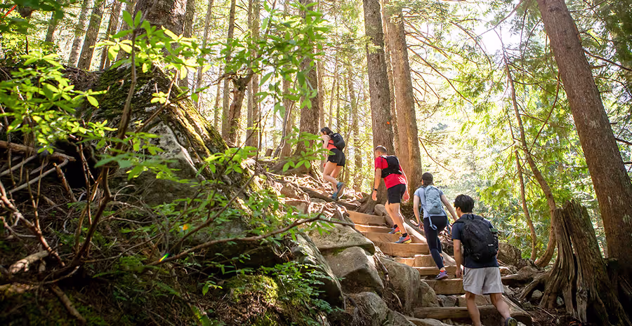 Group of people hiking up Grouse Mountain