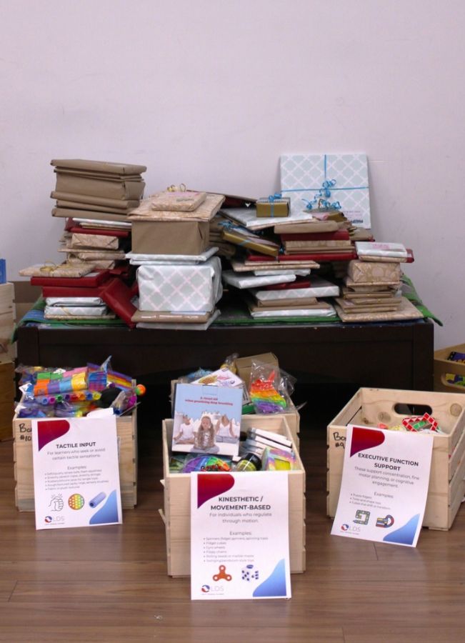https://lightwelllearning.ca/wp-content/uploads/2026/09/Fidget-Drive-Books-and-Toys-Wrapped.jpg
